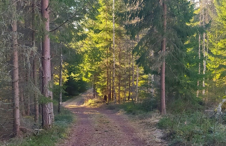 Natuurhuisje in Sunne