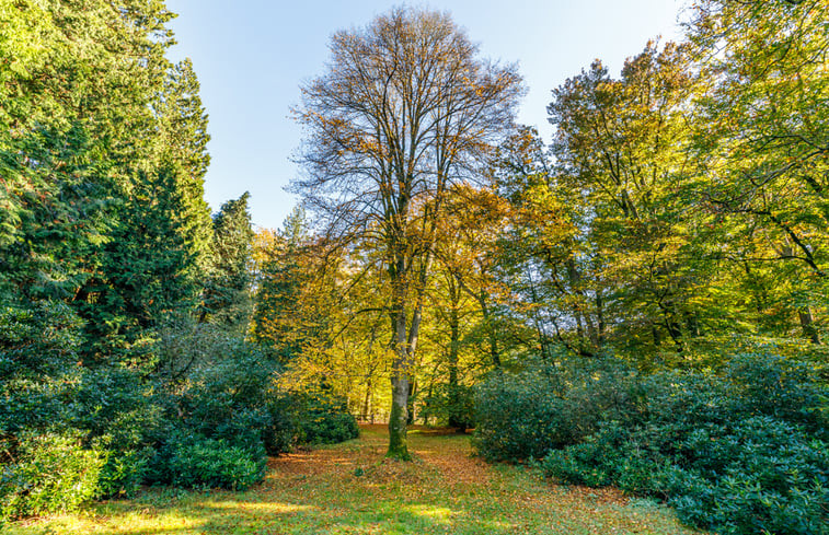 Natuurhuisje in Epe