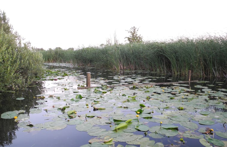 Natuurhuisje in Weesp