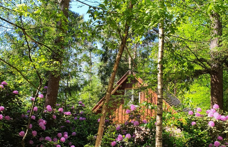 Natuurhuisje in Deurningen