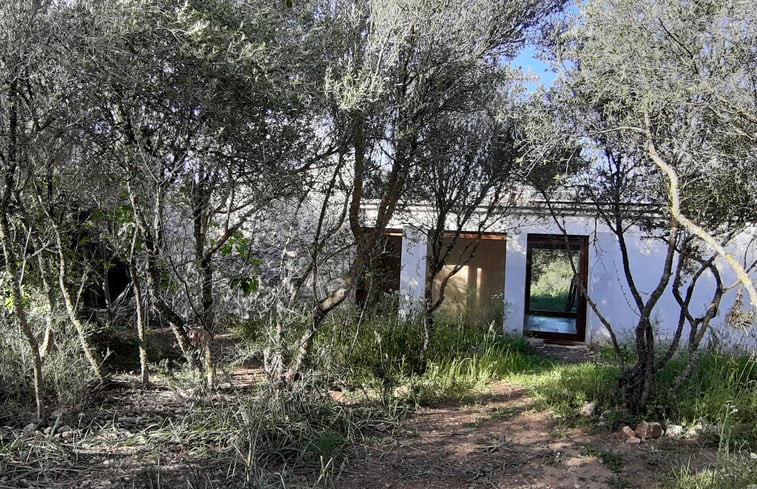 Natuurhuisje in Son Negre. Manacor