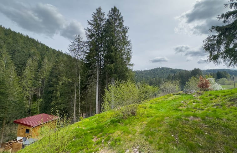 Natuurhuisje in GERARDMER