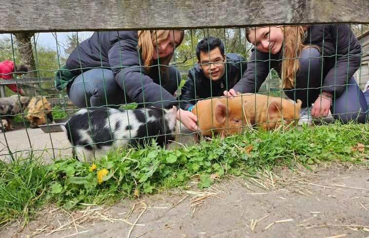 Natuurhuisje in Otterlo