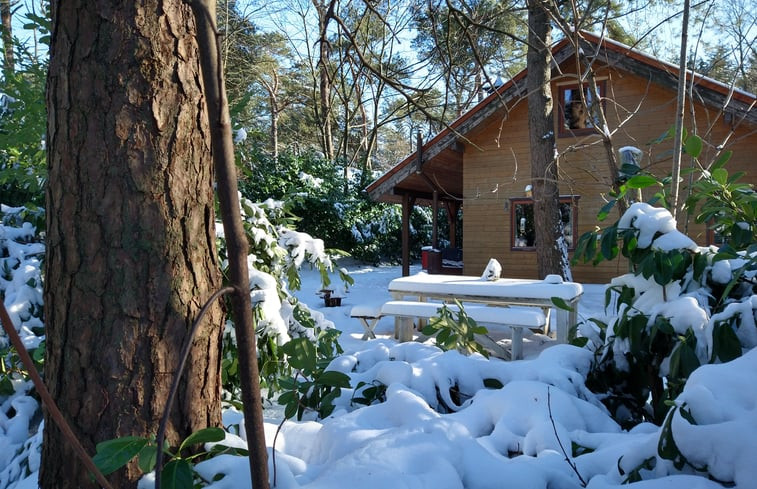 Natuurhuisje in Emst