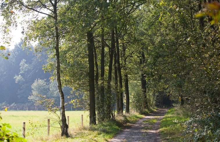 Natuurhuisje in baarschot gem hilvarenbeek