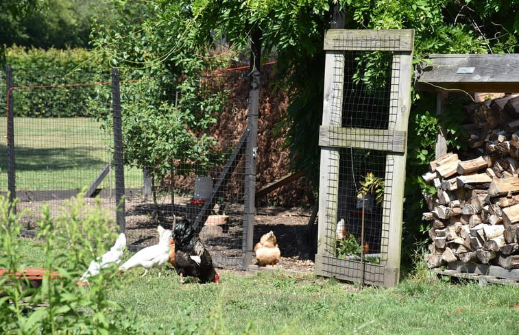 Natuurhuisje in Vorden