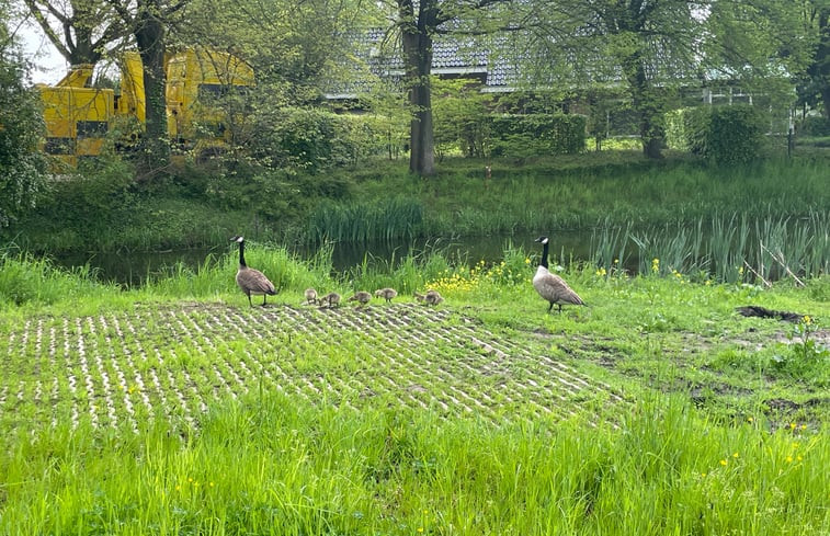 Natuurhuisje in Beemte Broekland