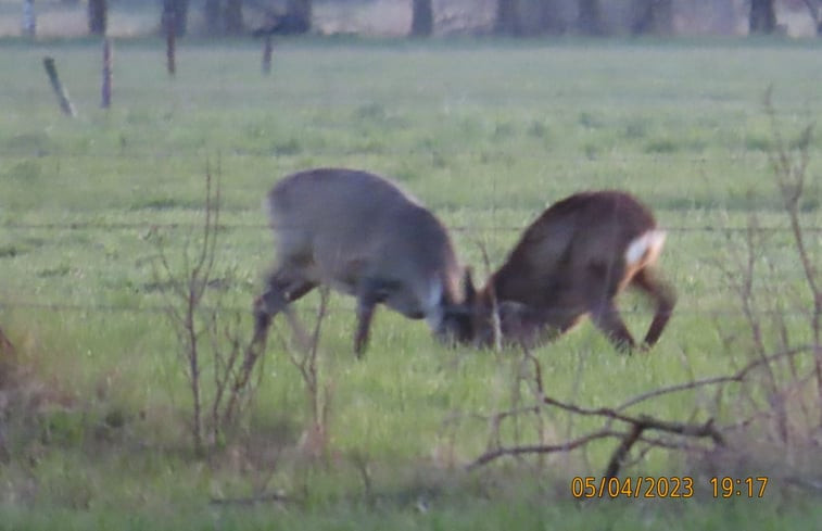 Natuurhuisje in Koekange