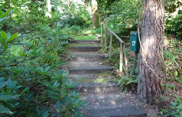 Natuurhuisje in Diever