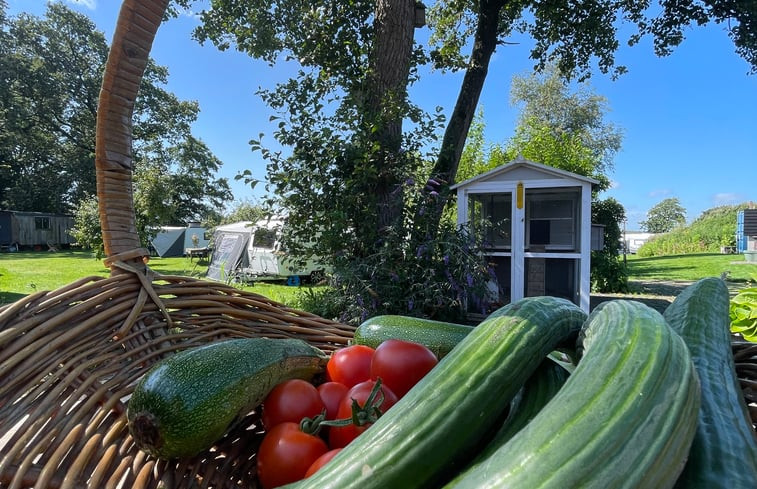 Natuurhuisje in Rotstergaast