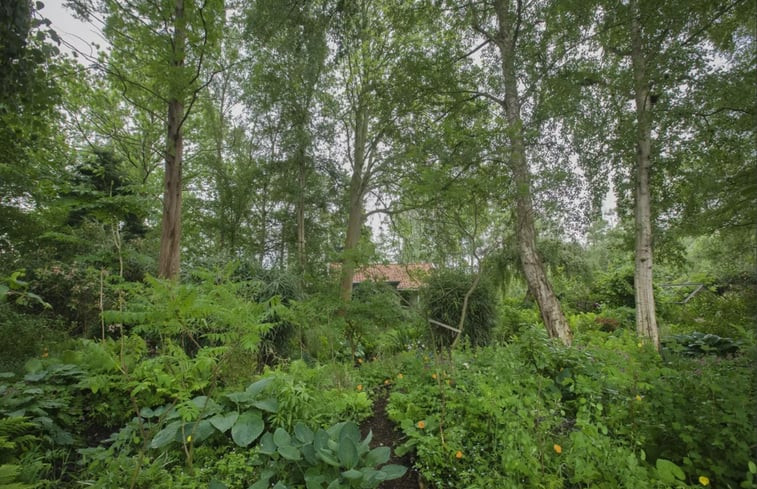 Natuurhuisje in Haren