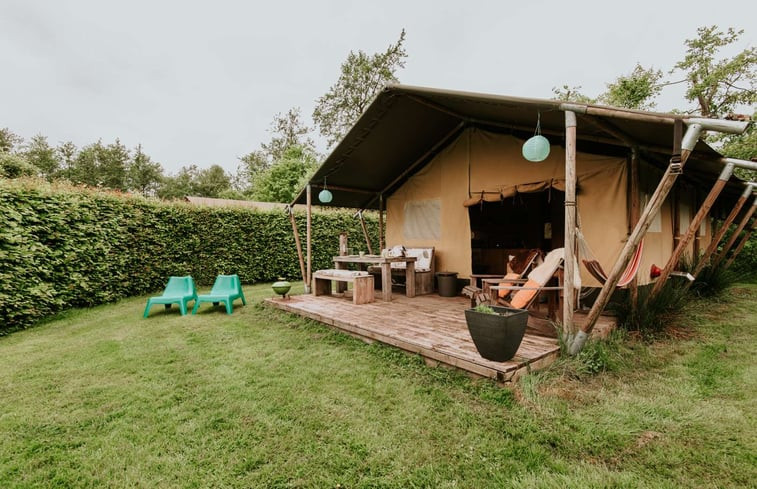 Natuurhuisje in Delfstrahuizen