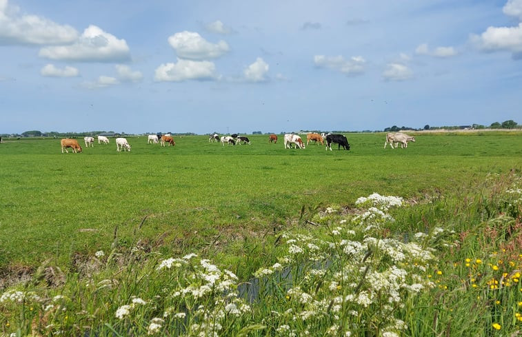 Natuurhuisje in Jannum bij Dokkum