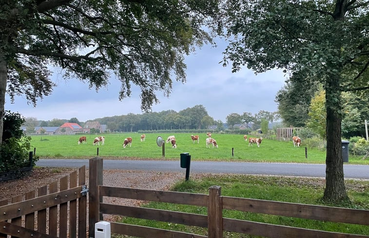 Natuurhuisje in Warnsveld