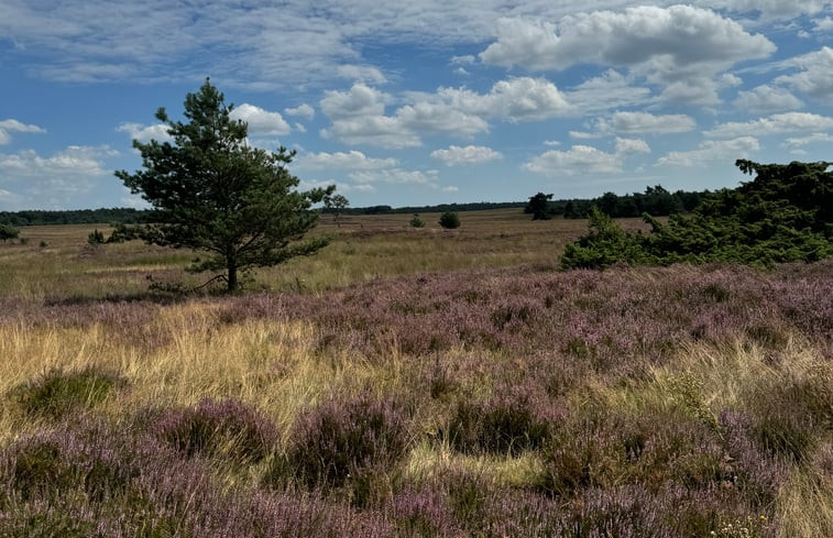 Natuurhuisje in Ermelo