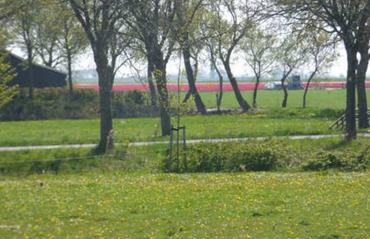 Natuurhuisje in Pingjum