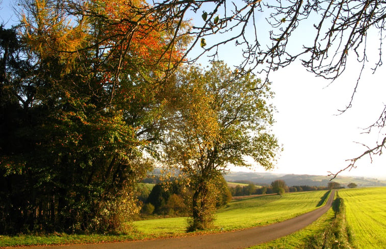 Natuurhuisje in La roche-en-ardenne