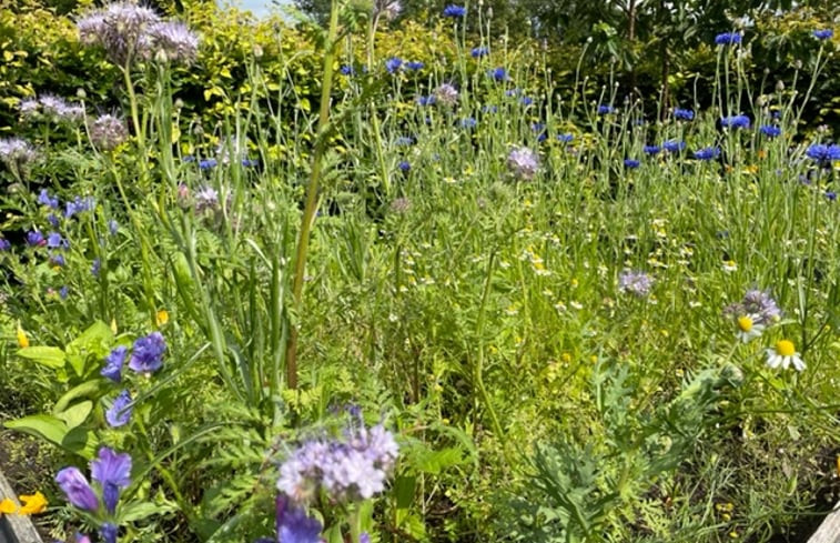 Natuurhuisje in Koekange