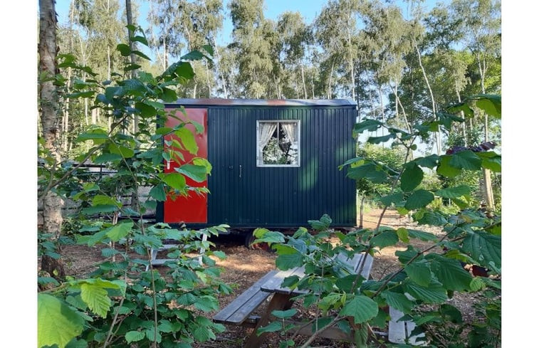 Natuurhuisje in Nederweert Eind