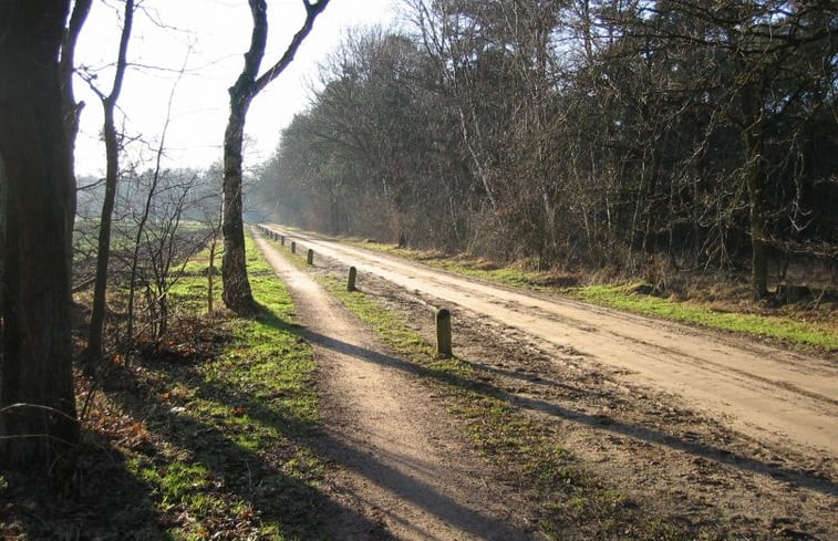 Natuurhuisje in Harfsen