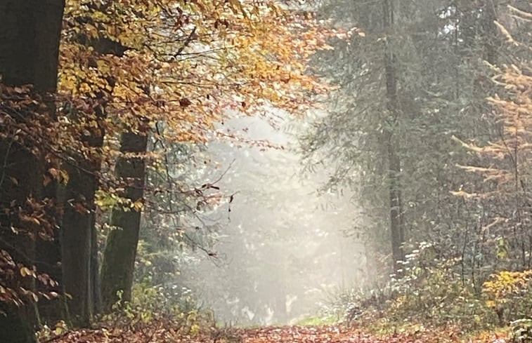 Natuurhuisje in Leersum