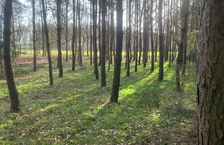 Natuurhuisje in Gierle