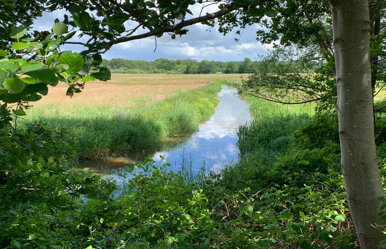 Natuurhuisje in Balkbrug