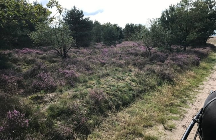 Natuurhuisje in Norg