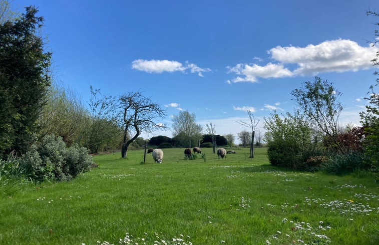 Natuurhuisje in Oostkapelle