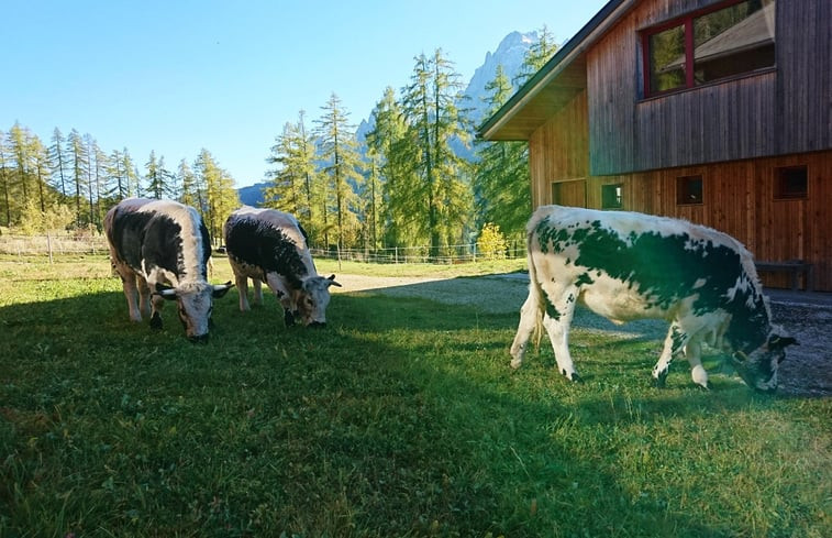 Natuurhuisje in Sexten / Moos