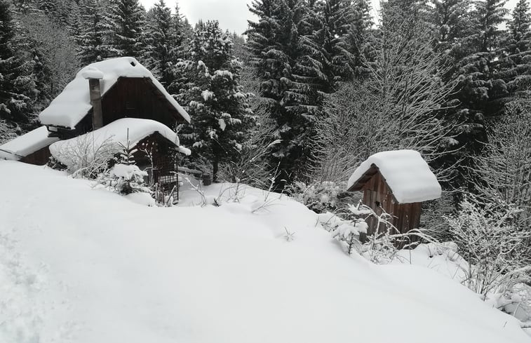 Natuurhuisje in Murau