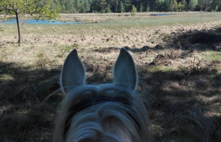 Natuurhuisje in Wapse