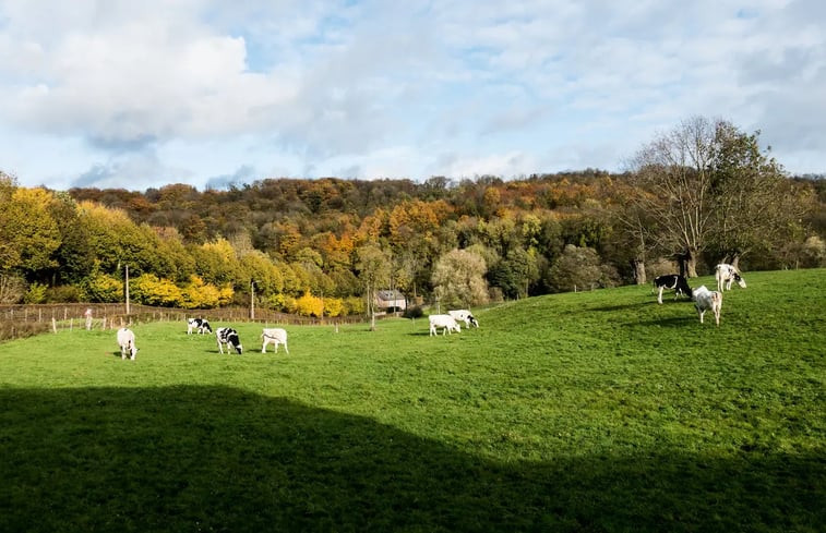 Natuurhuisje in Teuven