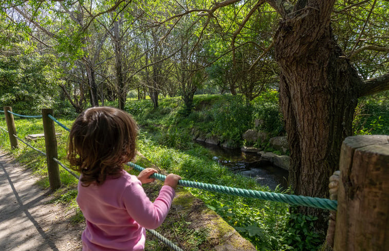 Natuurhuisje in Valadares, Vila Nova de Gaia