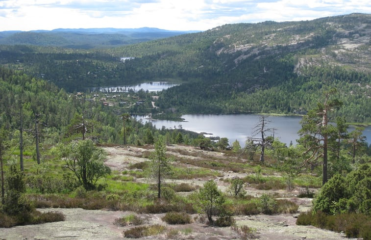 Natuurhuisje in Felle - Nissedal