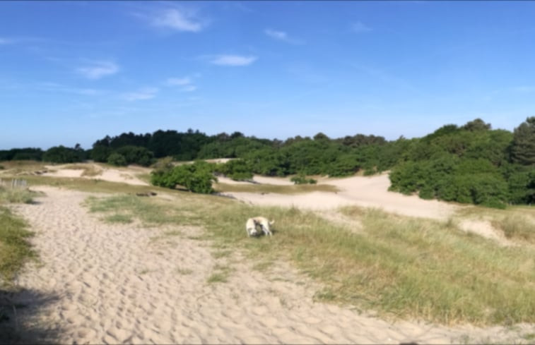 Natuurhuisje in Schoorl