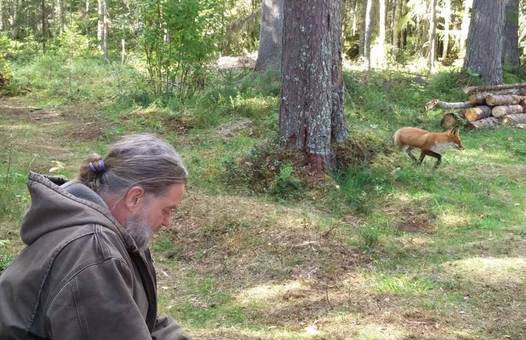 Natuurhuisje in gällö