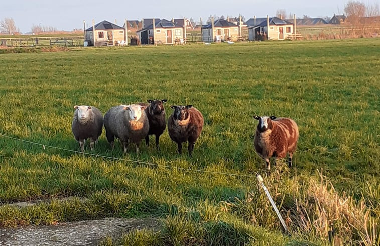 Natuurhuisje in Woerdense Verlaat