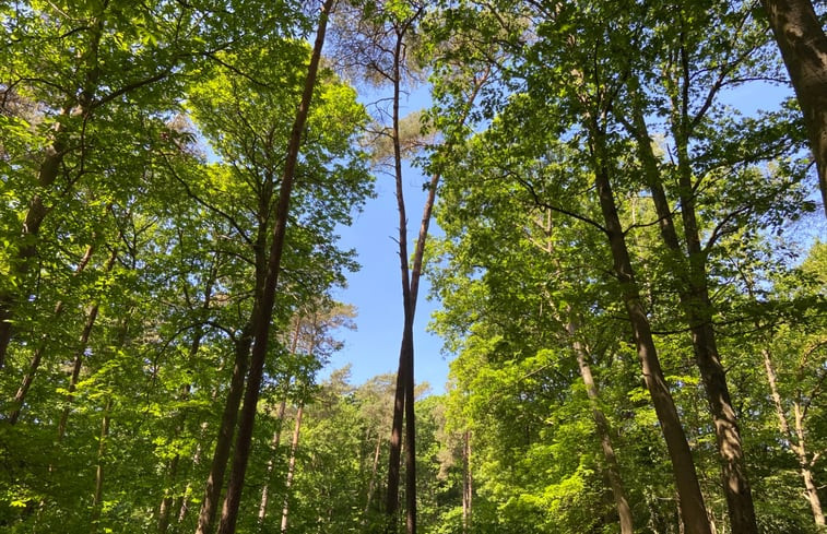 Natuurhuisje in Joppe