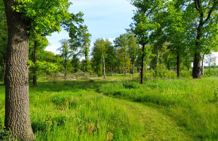 Natuurhuisje in Oirschot