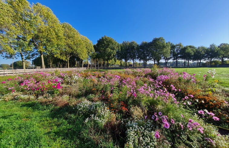 Natuurhuisje in Erp