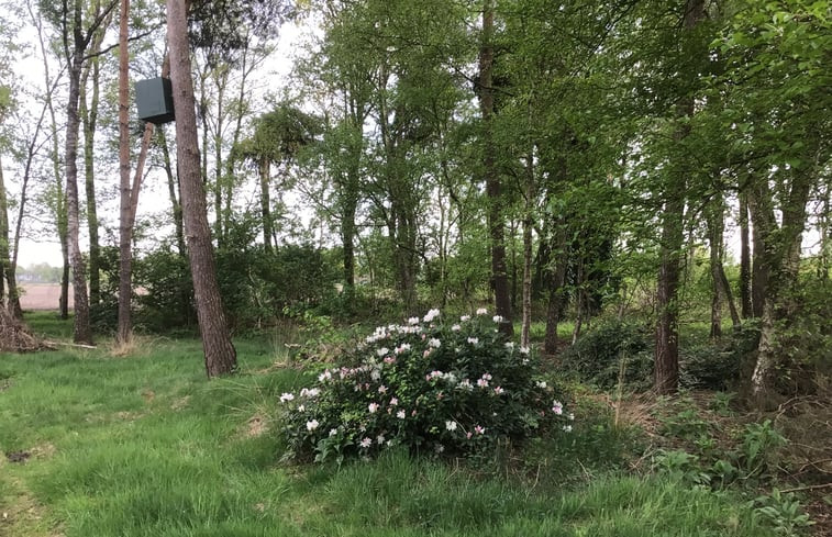 Natuurhuisje in Milheeze