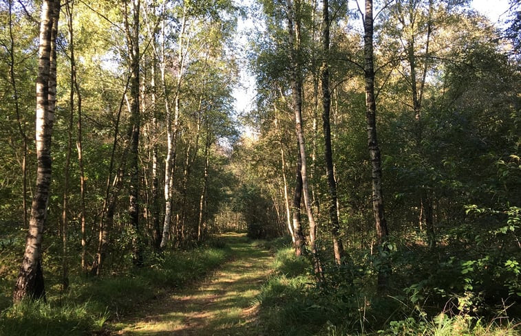 Natuurhuisje in Dalen (dorp)