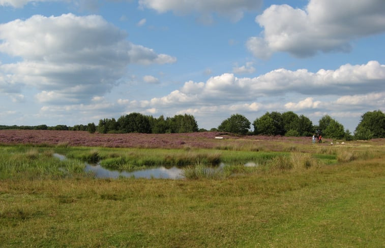 Natuurhuisje in Exloo