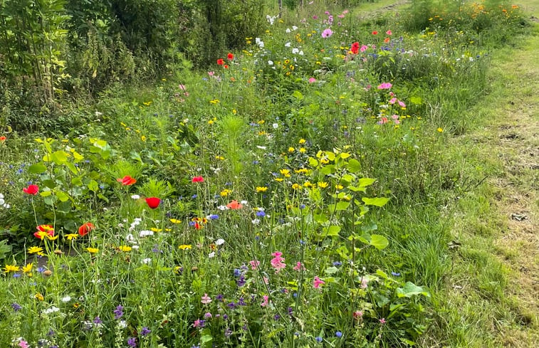 Natuurhuisje in Westbeemster