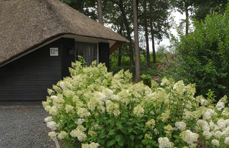 Natuurhuisje in Putten