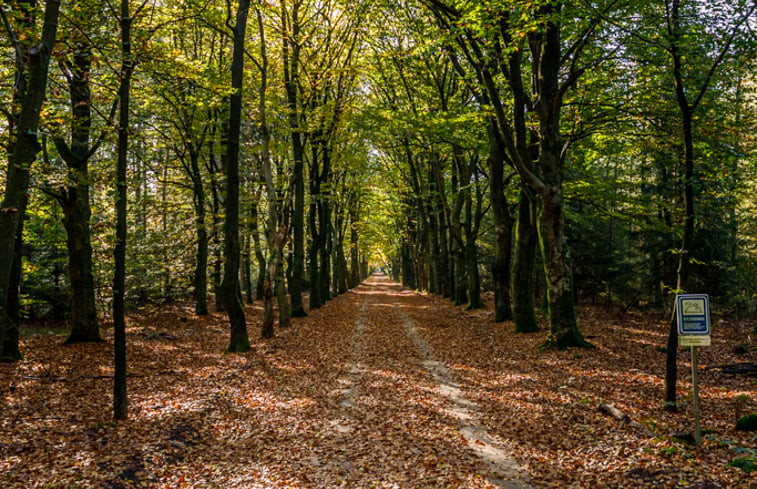 Natuurhuisje in Epe