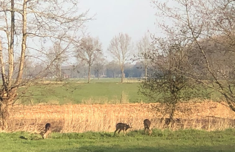 Natuurhuisje in Lochem