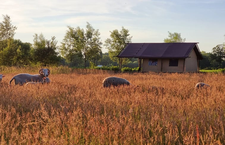 Natuurhuisje in Klarenbeek