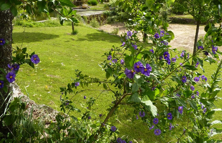 Natuurhuisje in Lagares da Breira